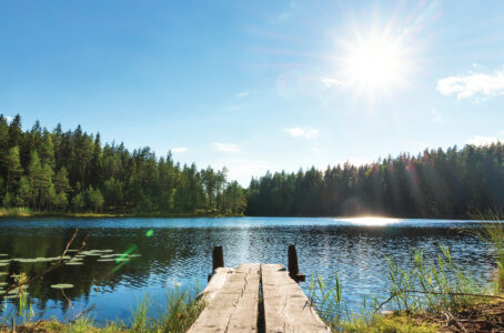 Is UV Light Harmful? Image